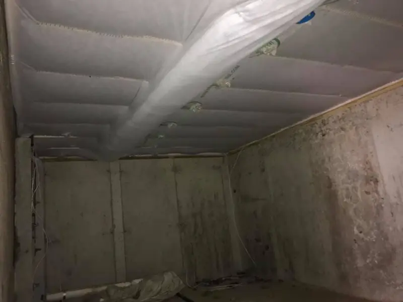 Mass Green Insulation project photo 11