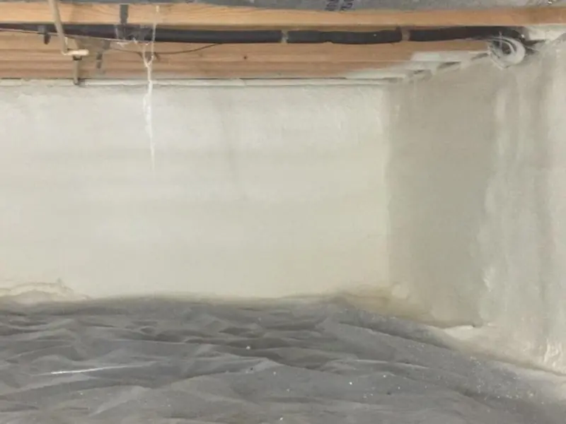Mass Green Insulation project photo 14