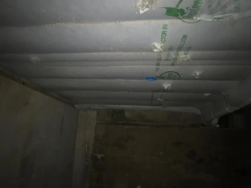 Mass Green Insulation project photo 21