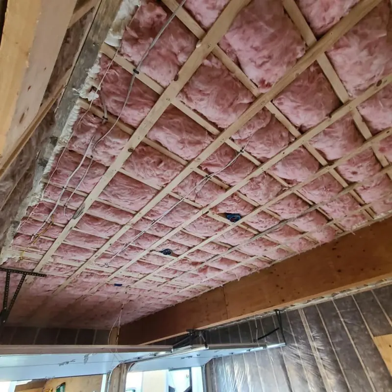 Mass Green Insulation project photo 50