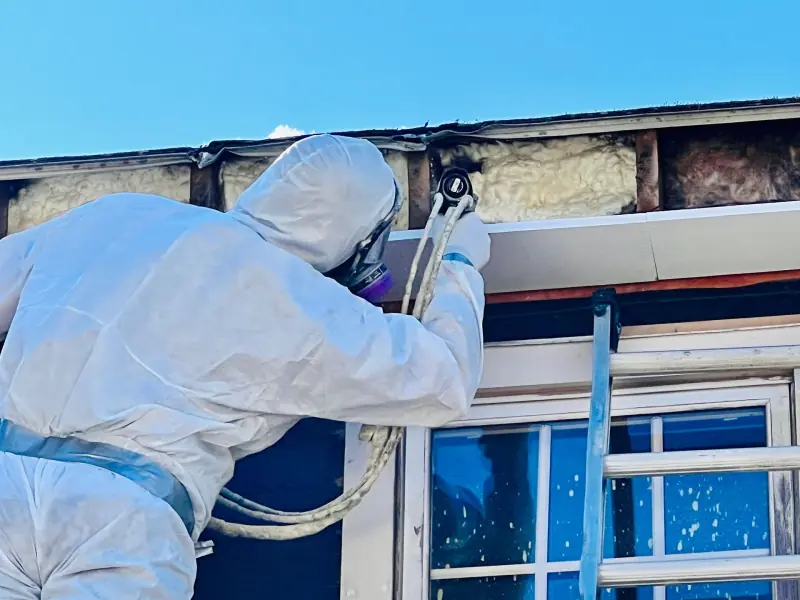 Mass Green Insulation project photo 54