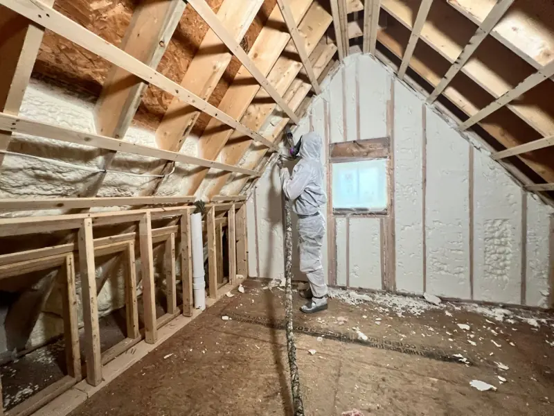 Mass Green Insulation project photo 56