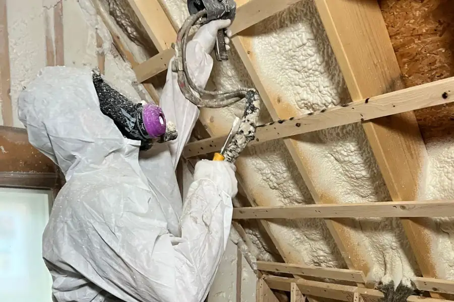 Spray Foam Insulation